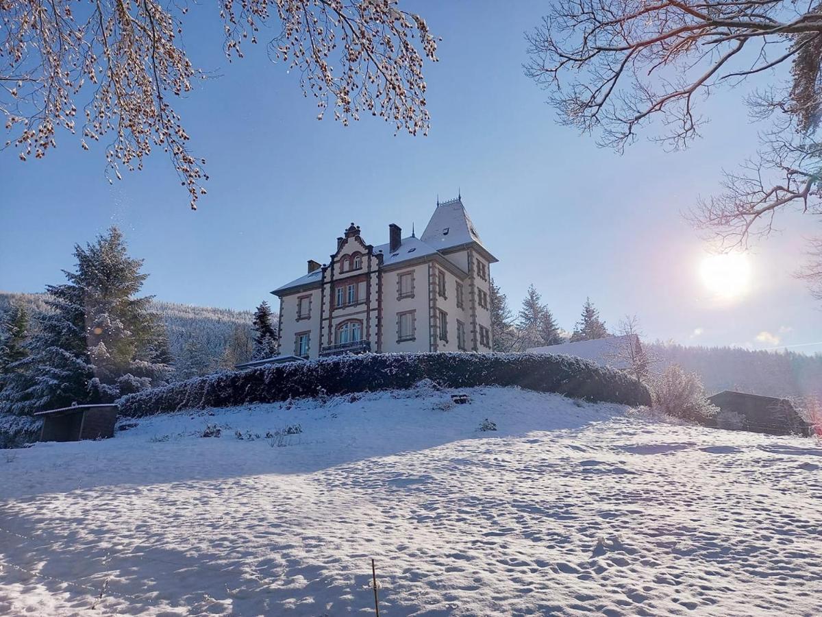 Chateau Robert Raon-l'Etape Екстер'єр фото