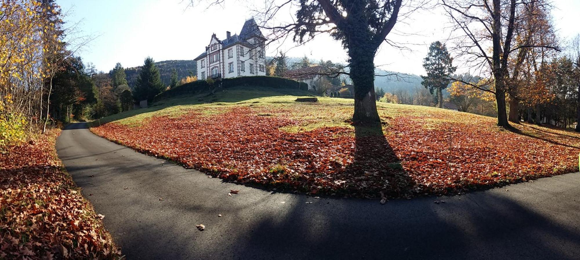 Chateau Robert Raon-l'Etape Екстер'єр фото