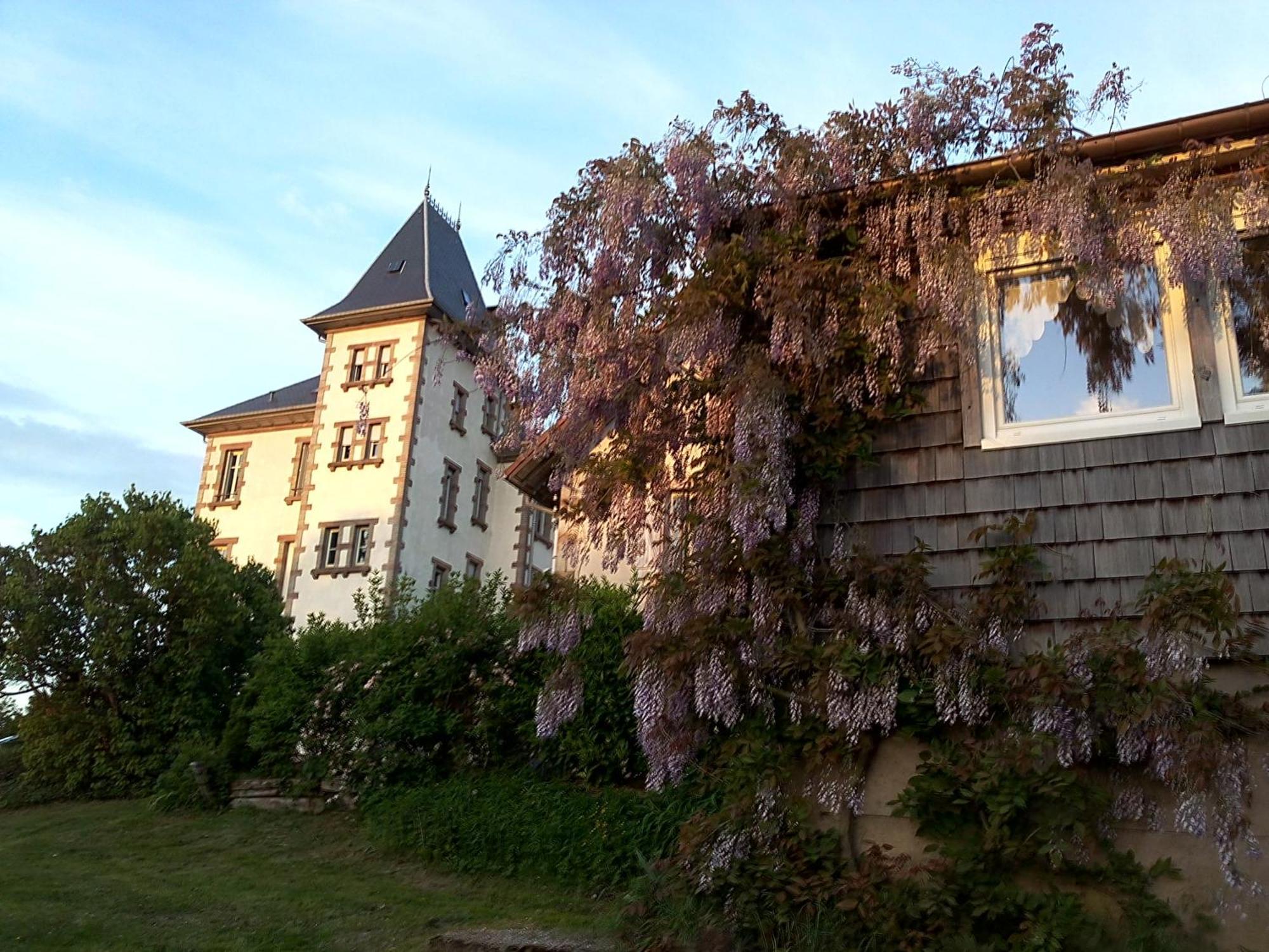 Chateau Robert Raon-l'Etape Екстер'єр фото